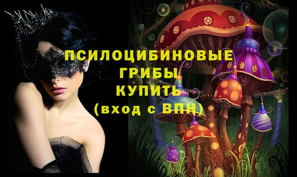 мяу мяу мука Армянск